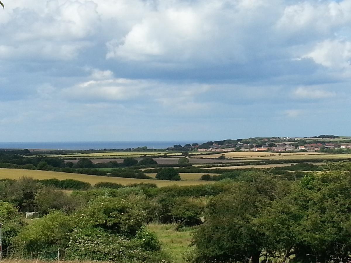 Country Ellerby